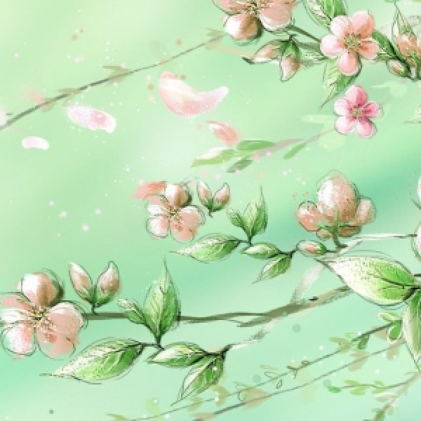 Offre de printemps (1.03-8.03)
