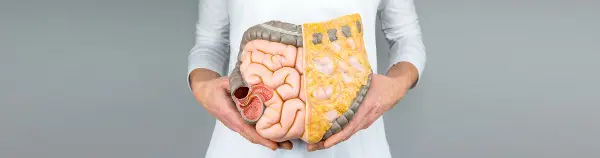 #4  Pulizia dell'intestino