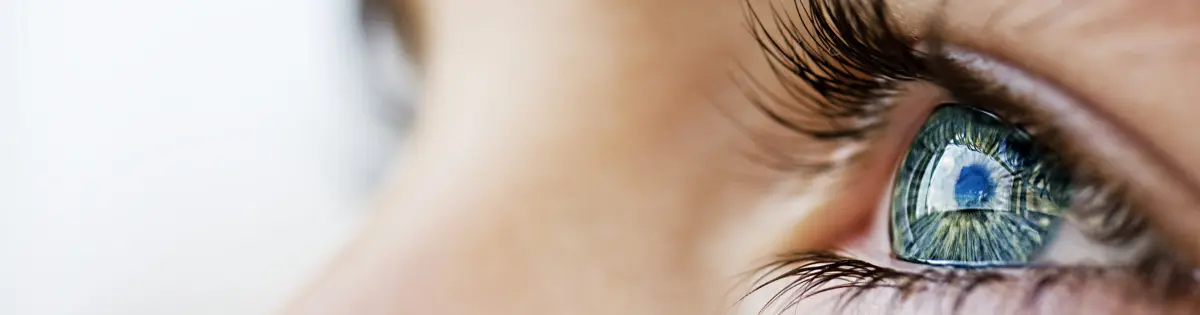 Programm für die Augen, ist es möglich, das sehvermögen ohne operation zu verbessern, wiederherstellung des sehvermögens zu h